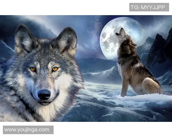 门兴德拉格巴赫与勒沃库森的激烈对决展现足球魅力与战术智慧 门兴德拉格巴赫与勒沃库森的激烈对决展现足球魅力与战术智慧