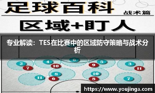 专业解读：TES在比赛中的区域防守策略与战术分析