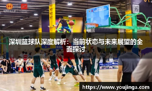 深圳篮球队深度解析：当前状态与未来展望的全面探讨